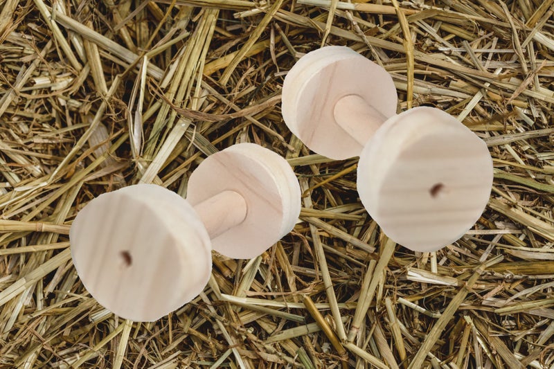 Pine Dumbell Natural | Chinchilla Chew Toy Carousel 1