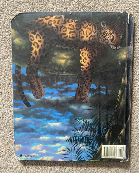 $1Res Ronnie The Red-eyed Tree Frog Book Carousel 2