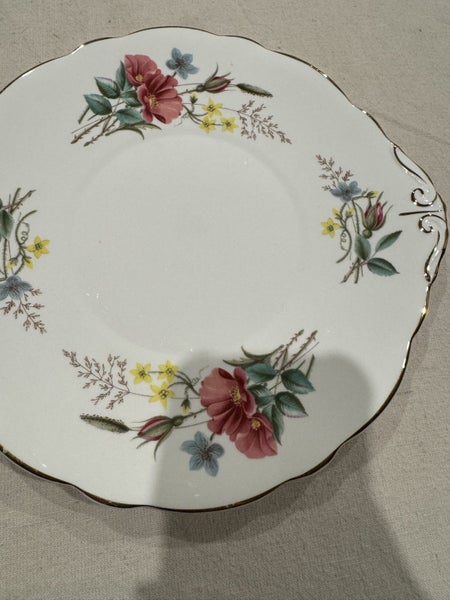Plate Carousel 1