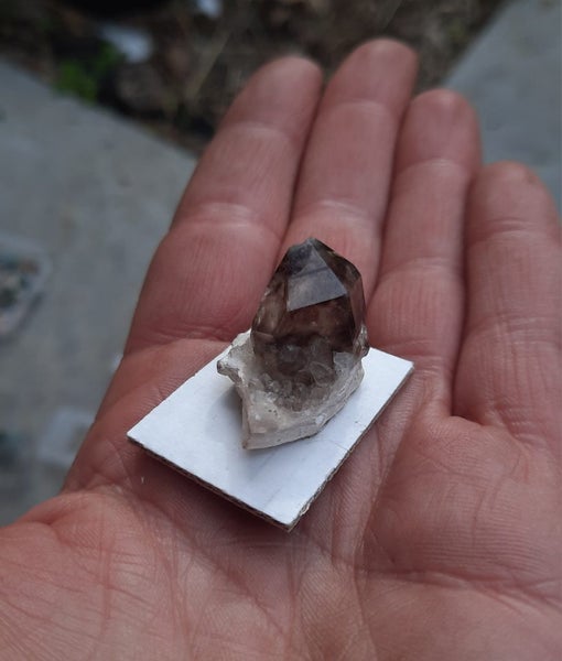 Moorella Smokey quartz - vic Australia Carousel 2