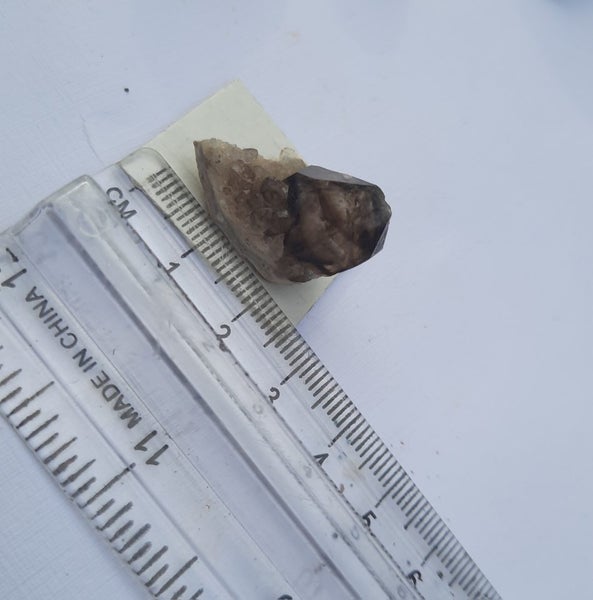 Moorella Smokey quartz - vic Australia Carousel 7