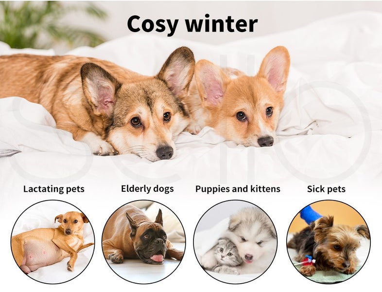 Pawz Electric Pet Heater Bed Heated Mat Cat Dog Heat Blanket Removable Cover Carousel 2