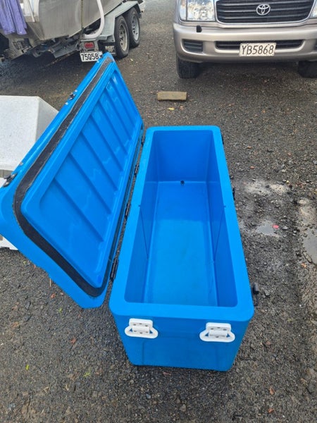 Fish Chilly bins62863873461121113