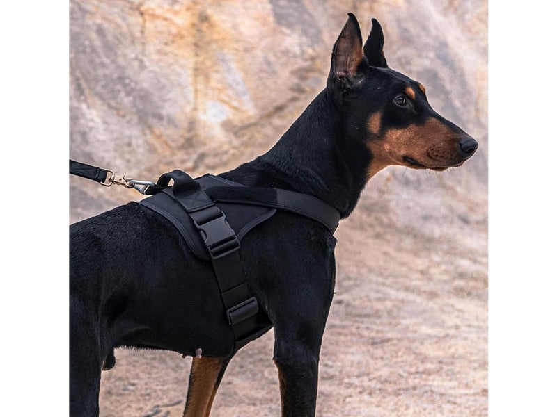 Adjustable Dog Harness NEW Carousel 2