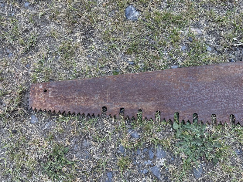 Vintage Cross Cut Saw Carousel 7