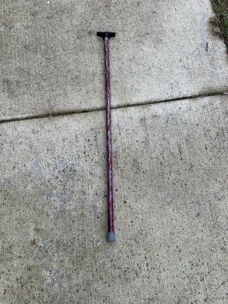 Metal Walking Stick Carousel 2