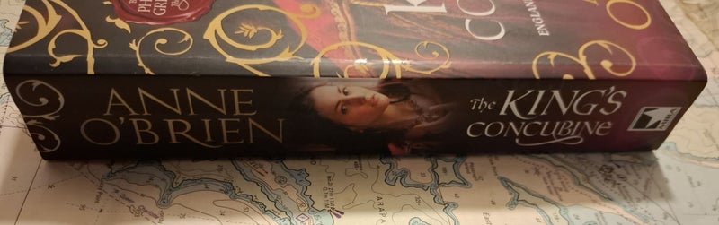 The King's Concubine - Anne O'Brien Carousel 4
