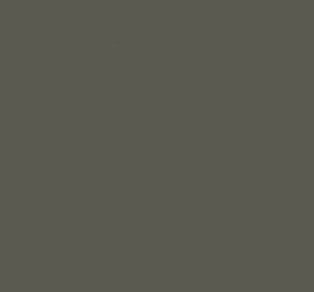 PAINT 10L SEMI GLOSS EXTERIOR GREY Carousel 1