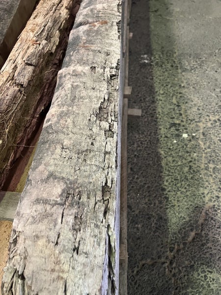 Ancient Swamp Kauri Wood for Artworks Carousel 15