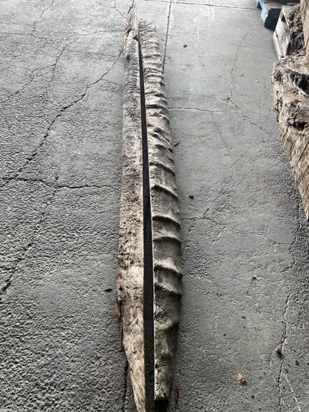 Ancient Swamp Kauri Wood for Artworks Carousel 1