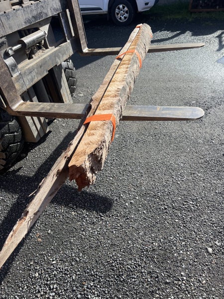 Ancient Swamp Kauri Wood for Artworks Carousel 2