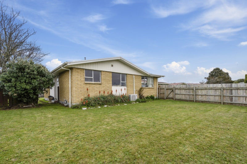 Image 1 of 17