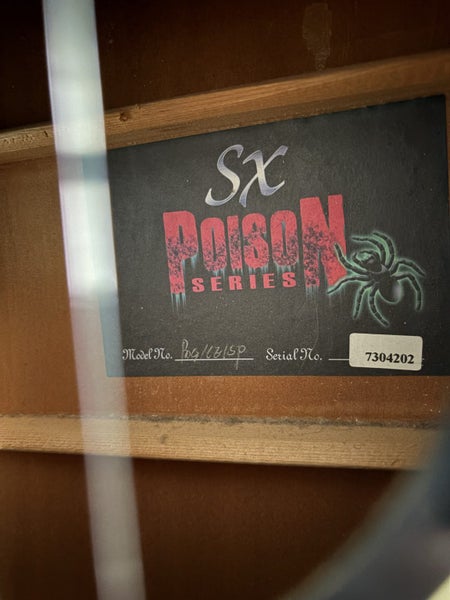SX Acoustic electric Carousel 3