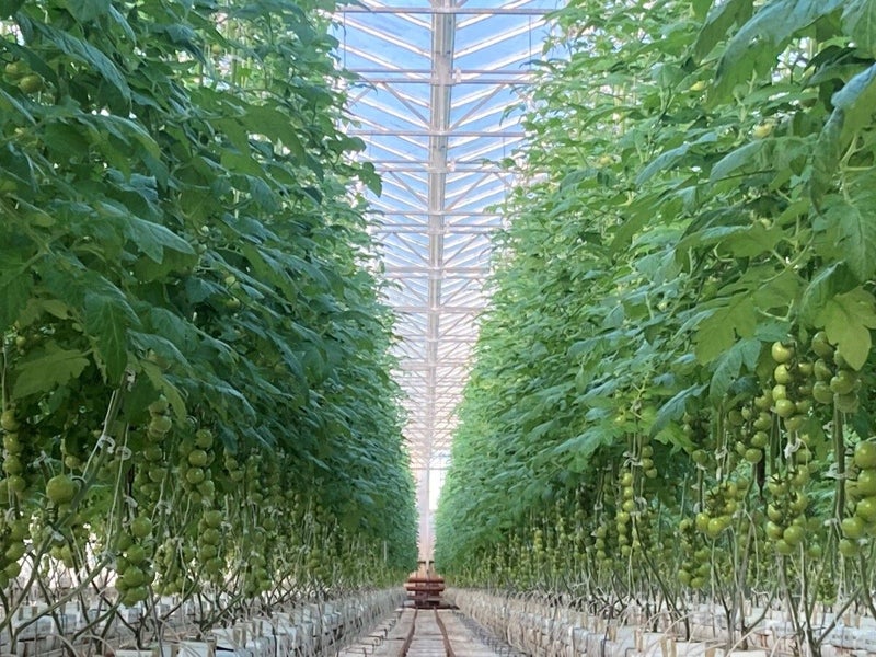 Image 2 of 14