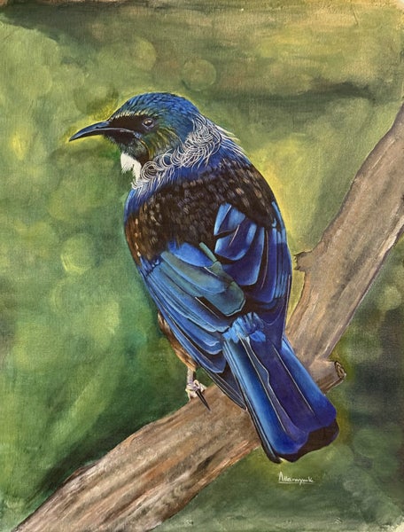 Tui Bird - original oil painting62863215412354115