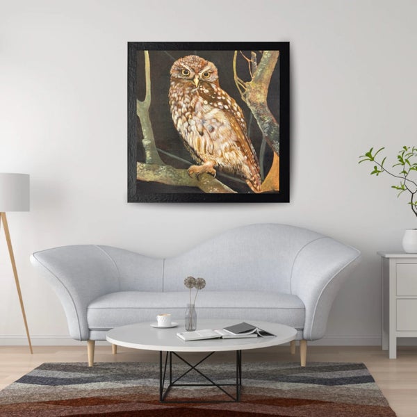 The Little Owl - Ruru Nohinohi62863215417985111