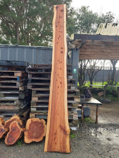 Pretty timber slab. Carousel 1
