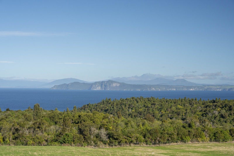 Image 2 of 31