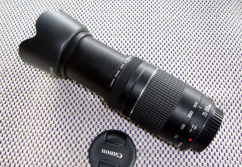 CANON EF 75-300mm Lens - Big Zoom For Sports Or Nature62863849324289114