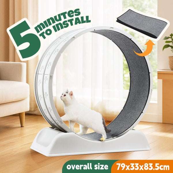 Cat Wheel Running Toy Exerciser Carousel 1