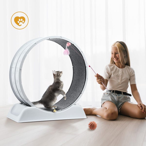 Cat Wheel Running Toy Exerciser Carousel 2