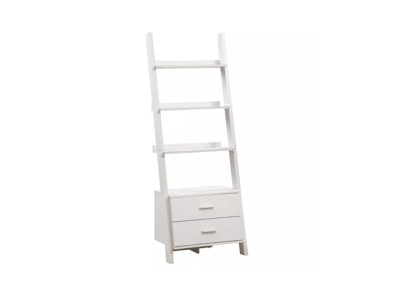 Bookcase62863864979458113