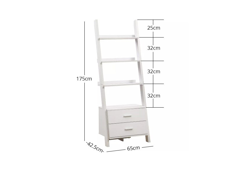 Bookcase62863864979458113