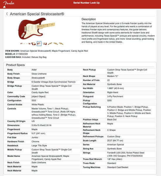 Fender American Special Stratocaster Carousel 19