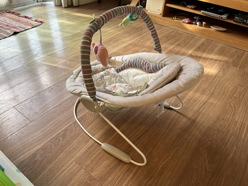 Ingenuity SmartBounce Automatic Bouncer Carousel 2