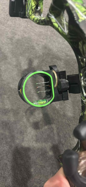 Royale bear compound bow62864741509762112