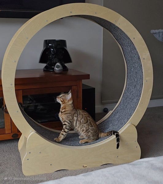 Cat Wheel Carousel 7