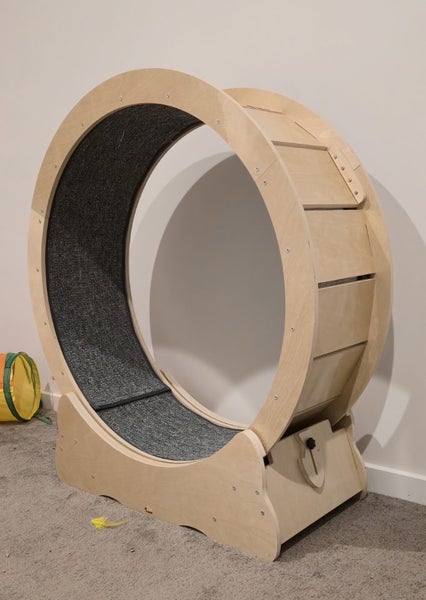 Cat Wheel Carousel 1