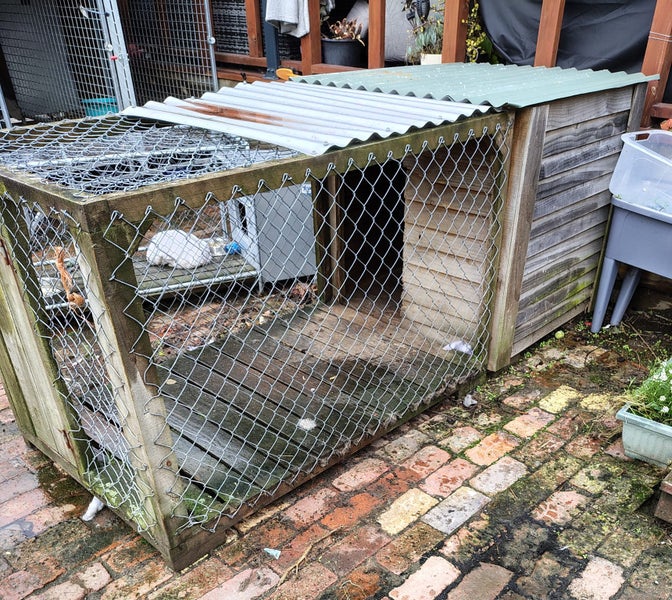 Dog kennel and run Carousel 2