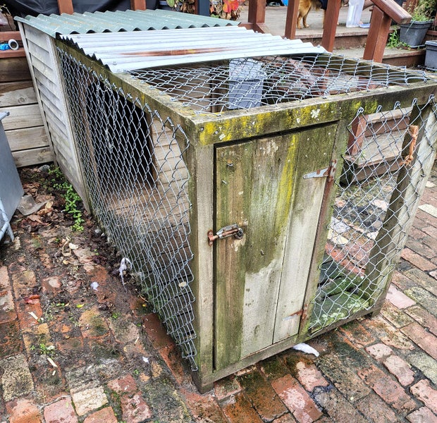 Dog kennel and run Carousel 4