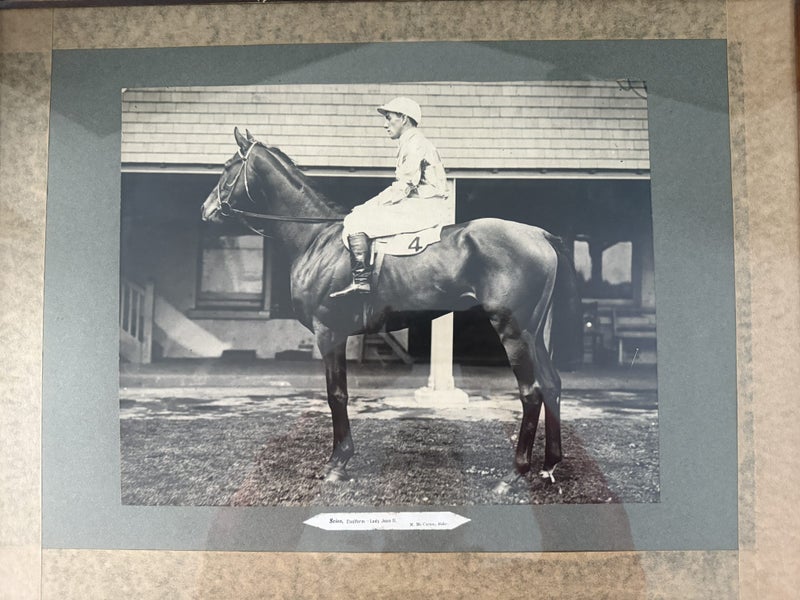 FRAMED PHOTOGRAPH SCION RACEHORSE PICTURE Carousel 2