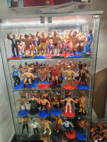 Complete WWF LJNs Collection628632406885141122
