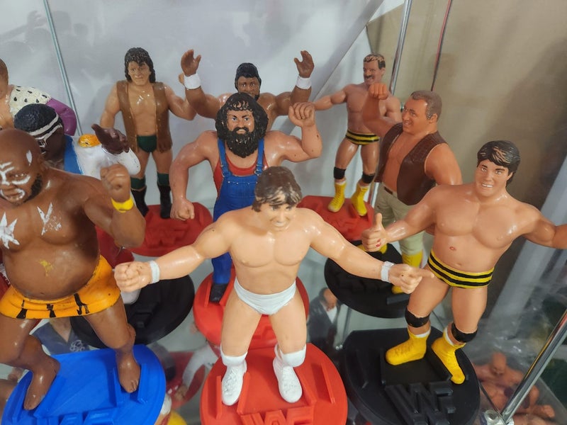Complete WWF LJNs Collection62863240688514114