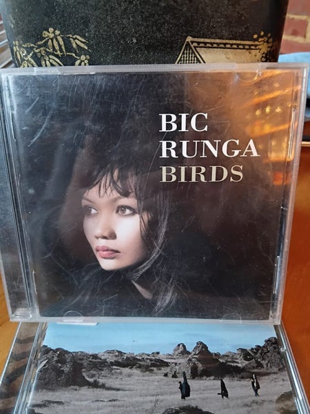 Bic Runga Birds Carousel 1