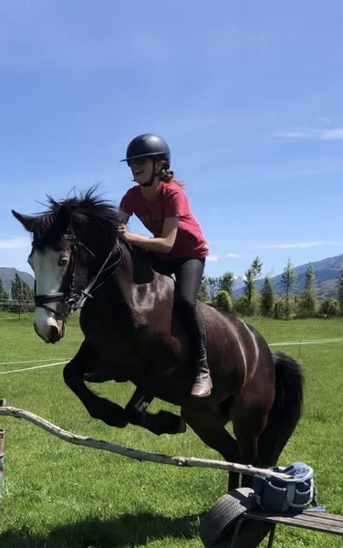 Quality hunting pony62935696128515111
