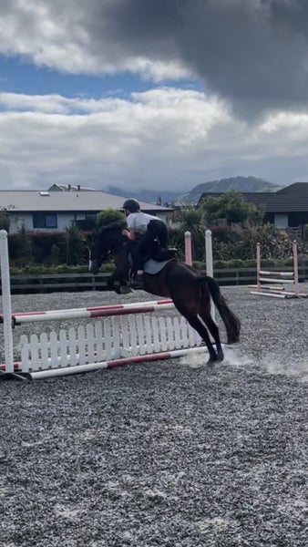 Quality hunting pony62935696128515114