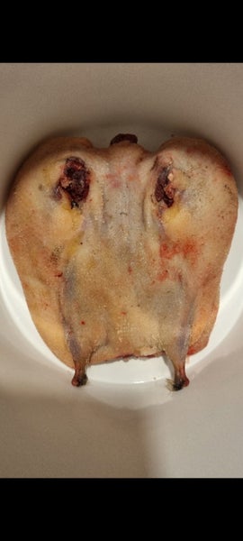 Mutton birds64265993632387111