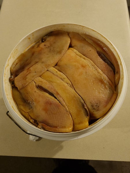 Mutton birds64265993632387112