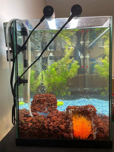 70L Fish tank - complete set up Carousel 2