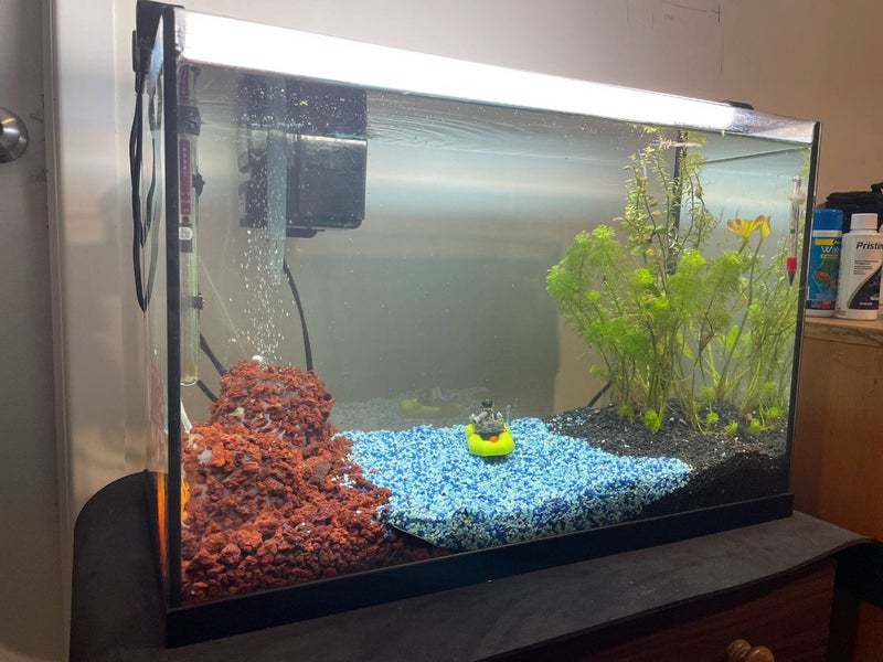 70L Fish tank - complete set up Carousel 1
