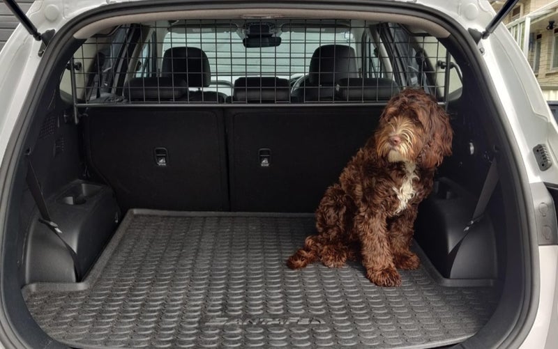 Dog or luggage guard - Hyundai Santa Fe Carousel 1