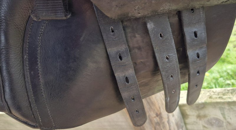 Albion GP Saddle 17.5"62864741831681114