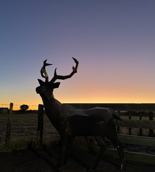 Steel Stag Statue / Sculpture Carousel 2