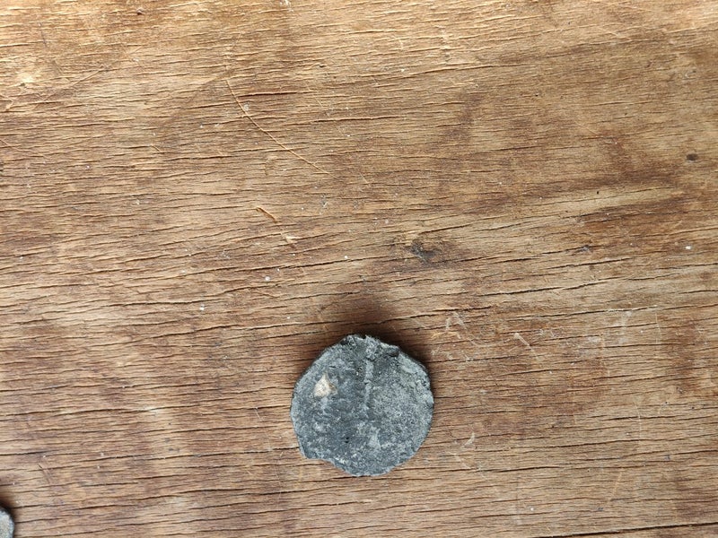 Post Medieval 'Thames' Lead Token Carousel 2