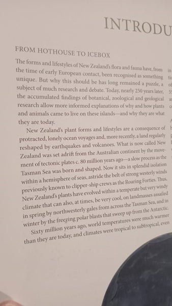 New Zealand's Native Trees John Dawson and Rob Lucas Carousel 19