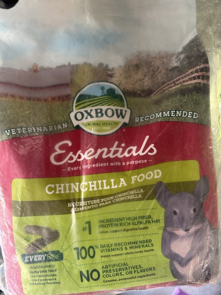 Two chinchillas looking for new home Carousel 7